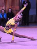 З 14-15 квітня 2014 року у м.Харків відбувся чемпіонат України та всеукраїнський турнір «Алькор» з естетичної гімнастики