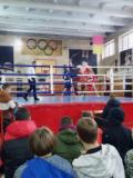 Юні боксери Донеччини відзначилися нагородами змагань у Кам’янському