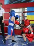 У Добропіллі пройшли змагання з боксу серед юнаків