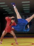 У Горлівці відбувся Міжнародний турнір з боротьби самбо серед юнаків пам’яті Валерія Чуканова