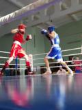 У Донецьку відбувся чемпіонат області з боксу серед юніорів