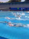 Курахівський басейн прийняв чемпіонат області з плавання вперше за сім років