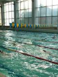 У Слов’янську відбулися міські дитячі змагання з плавання «Весняні старти 2015»
