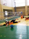 Інваспорт. Голболісти Донеччини посіли сьоме місце на національних змаганнях у Полтаві