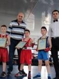 Мар’їнка прийняла обласний турнір з боксу «Майбутнє Донбасу»