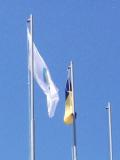 Олімпійський прапор замайорів над Мирноградом