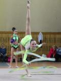 У Донецьку пройшов командний чемпіонат області з художньої гімнастики