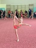 У Маріуполі визначили переможниць чемпіонату Донецької області з художньої гімнастики