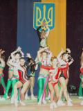 У Красноармійську відбувся обласний турнір зі спортивної аеробіки та фітнесу, присвячений Дню фізичної культури та спорту