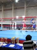 Бахмут прийняв обласні змагання з боксу серед юніорів та молоді та Кубок дружних націй серед школярів
