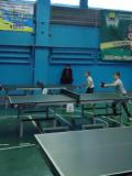 У Дружківці відбувся Кубок області з настільного тенісу «Срібна ракетка»