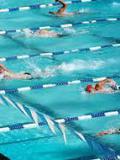 Відбувся чемпіонат Донецької області з плавання серед команд дитячо-юнацьких спортивних шкіл "Олімпійське сузір’я"