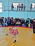 У Волновасі пройшов II Відкритий обласний турнір з греко-римської боротьби, присвячений пам’яті Андрія Суровягіна