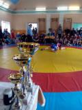 У Новгородському відбулися обласні змагання серед юних борців вільного стилю