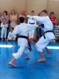 Костянтинівка прийняла обласний турнір з традиційного карате, присвячений Дню фізичної культури і спорту