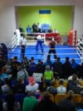 У Краматорську відбулися обласні змагання з кікбоксингу WAKO