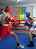 Відкритий чемпіонат Донецької області з боксу на честь Віктора Мірошниченка відбувся в Горішніх Плавнях