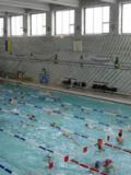 У Донецьку пройшла відкрита першість обласної СДЮШОР з плавання та синхронного плавання ФСТ «Україна» в програмі «Новорічні старти»