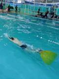 Маріуполь прийняв перші обласні змагання з підводного спорту