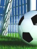 На Донеччині пройдуть фінальні обласні змагання з футболу «Шкіряний м’яч»