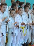 У Добропіллі провели відкритий турнір з дзюдо до Міжнародного дня захисту дітей