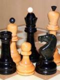 У Харцизьку пройшли обласні змагання з шахів серед спортсменів з обмеженими фізичними можливостями
