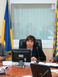 Сьогодні в режимі відеоконференції відбулося засідання громадської колегії оперативного вирішення актуальних питань розвитку фізичної культури і спорту в Донецькій області