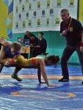 Чемпіонати Донецької області з вільної боротьби та дзюдо пройшли у Полтаві