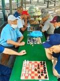 Турнір з шахів у Бахмуті до Дня пам’яті захисників України