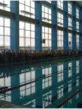 У Донецьку відбувся відкритий чемпіонат міста з плавання серед юнаків та дівчат «Новорічні старти»