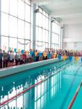 У Слов’янську відбувся чемпіонат області з плавання серед дітей «Новорічні старти»