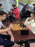 Учні закладів професійної (професійно-технічної) освіти Донеччини визначили кращих у шахах
