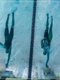 На чемпіонаті світу з плавання в Монреалі спортсмени Донеччини завоювали 19 медалей