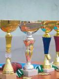У Красному Лимані провели ряд змагань до Дня фізичної культури та спорту