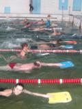 У Маріуполі був проведений 5-денний методичний семінар-практикум «Школа вчителя плавання»