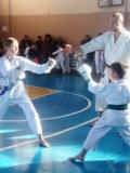 Костянтинівка прийняла обласний турнір з традиційного карате до Дня Гідності та Свободи