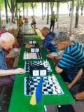 Змагання найсильніших шахістів Бахмута з нагоди святкування Дня Незалежності України