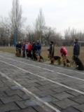 У Маріуполі пройшов чемпіонат області з кані кросу зі спорту з собаками