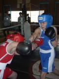 У Кіровському пройшов традиційний відкритий турнір з боксу «Сила.Рух.Лідерство»